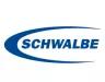 schwalbe