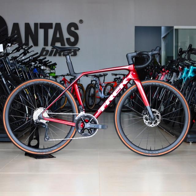 Essa imagem não possui texto alternativo